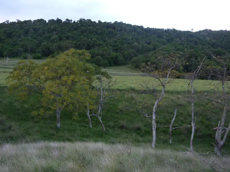 Seventh view of Homely rural property listing, 57 Briggs Road, Upper Freestone QLD 4370