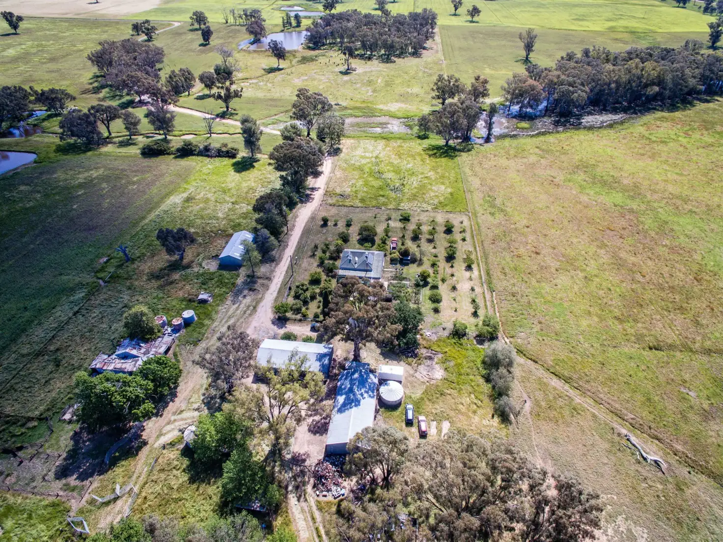 Main view of Homely rural property listing, 99 Nation Road, Burrumbuttock NSW 2642