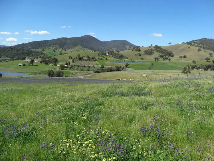 Second view of Homely land listing, 1600 Murray River Road, Talgarno VIC 3691