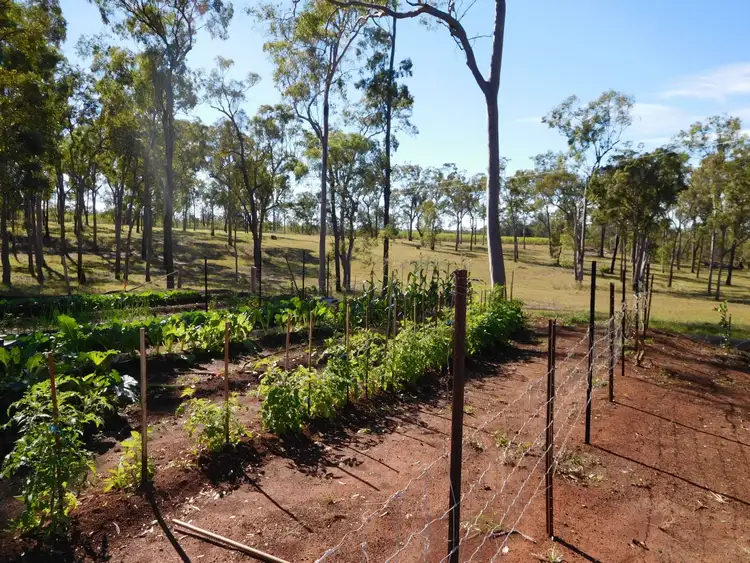 Seventh view of Homely house listing, 233 Webbs Road, Redridge QLD 4660