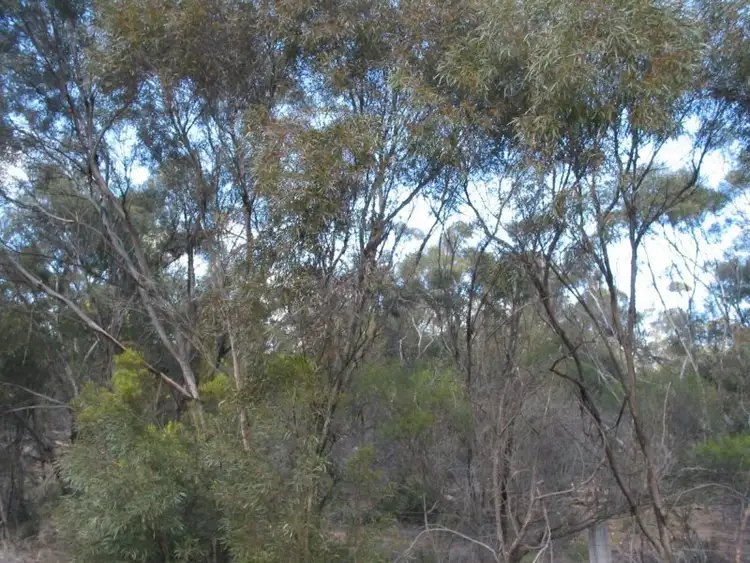 Fourth view of Homely land listing, L1 Josephine Drive, Wedderburn VIC 3518