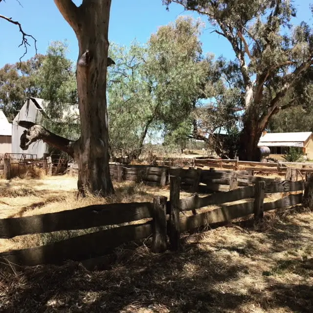 973 Bearii-mywee Rd