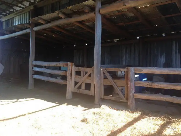 Sixth view of Homely rural property listing, 561 Back Creek Road, Lochiel NSW 2549