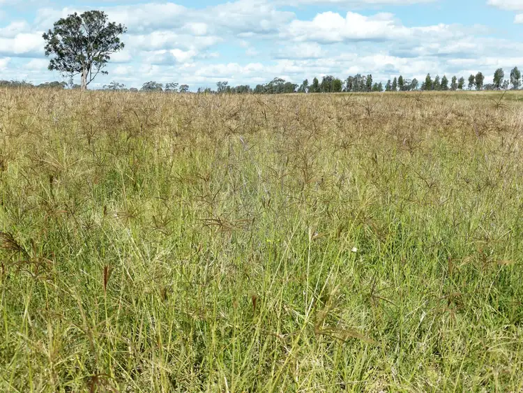 Sixth view of Homely rural property listing, Address available on request