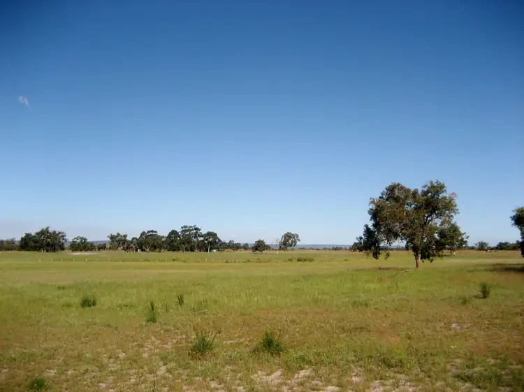 Fifth view of Homely rural property listing, 318 Old West Road, Bullsbrook WA 6084