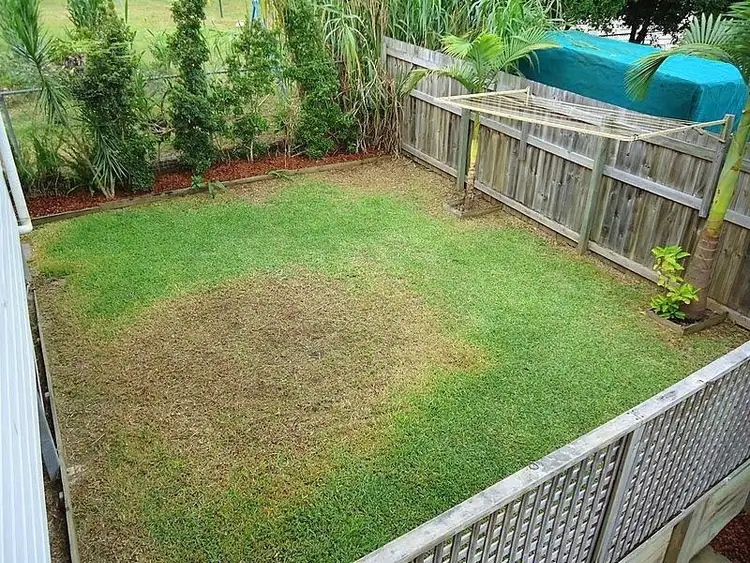 Fifth view of Homely house listing, 145A Howard Street, Nambour QLD 4560