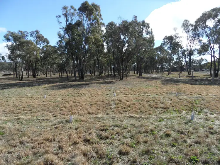 Sixth view of Homely land listing, Lot 10 Greaney Road, Greenlands QLD 4380