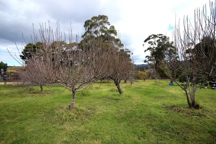 Third view of Homely rural property listing, Lot 1221 Princes Highway, Greigs Flat NSW 2549