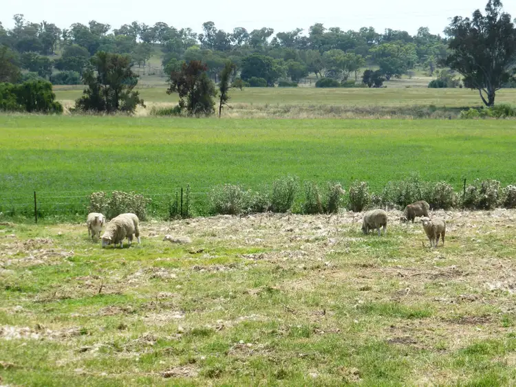 Fifth view of Homely rural property listing, Address available on request