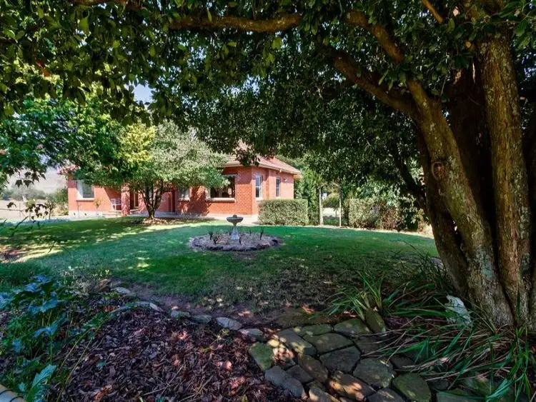 3709 Omeo Highway, Eskdale VIC 3701