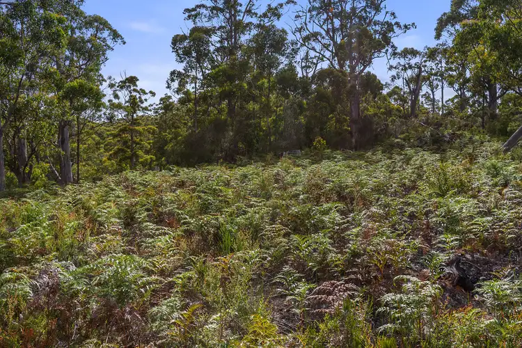 Seventh view of Homely land listing, 251862/3 Hastings Bay Esplanade, Hastings TAS 7109