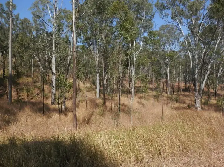 Fifth view of Homely land listing, Cnr Plains Station Road And Olgilvy Drive, Tabulam NSW 2469