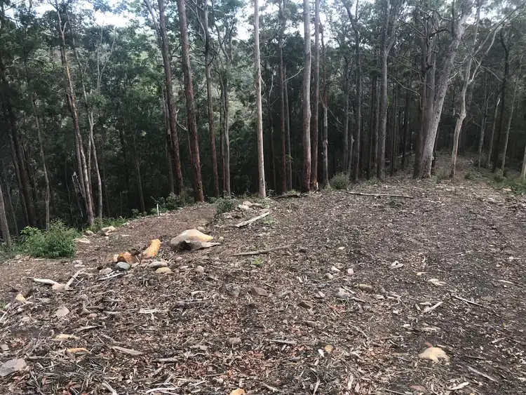 Third view of Homely land listing, Lot 3, 106 Wongawallen Road, Tamborine Mountain QLD 4272
