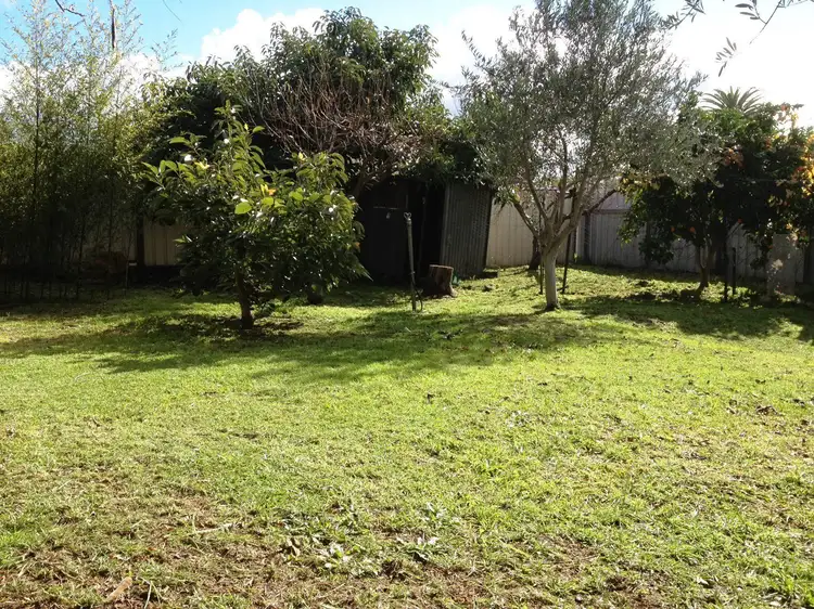 Third view of Homely house listing, 162 Wittenoom Street, Collie WA 6225