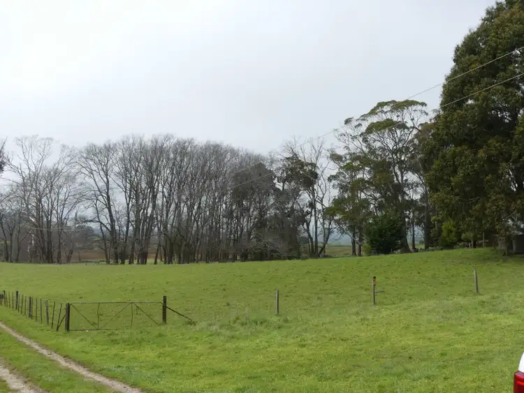 Fifth view of Homely house listing, 99 Coxs Rd, Red Hills TAS 7304
