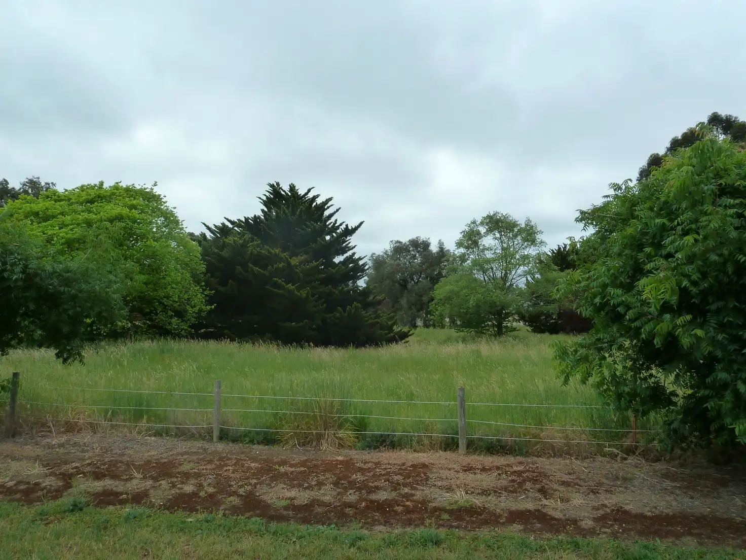 Main view of Homely land listing, L12 Julian Street, Penola SA 5277