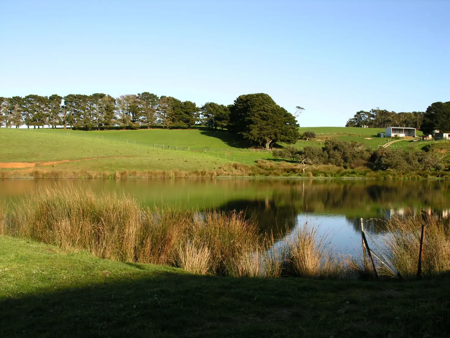 Main view of Homely rural property listing, 771 Springmount Road, Myponga SA 5202