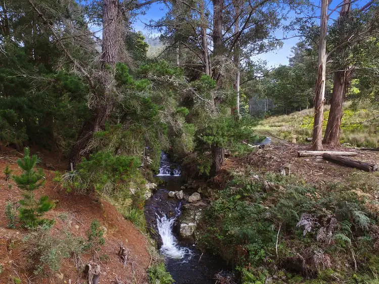 Third view of Homely land listing, Lot 1 Mitchells Road, Crabtree TAS 7109