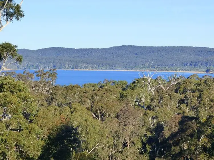 Second view of Homely rural property listing, 212 Princes Highway, Eden NSW 2551