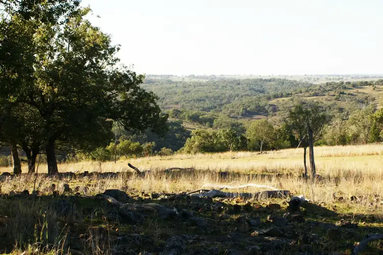 Second view of Homely rural property listing, Address available on request