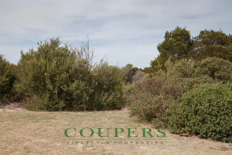 Lot 460 The Ridge Road, Fingal VIC 3939