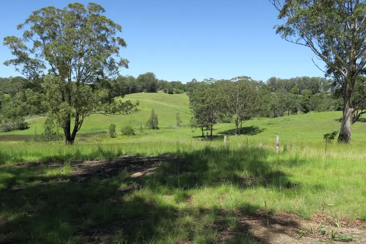 Second view of Homely land listing, 572 Irvines Road, Newee Creek NSW 2447