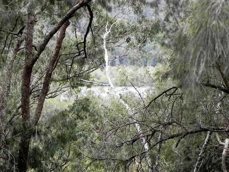 Fourth view of Homely land listing, 4154 Wisemans Ferry Road, Spencer NSW 2775