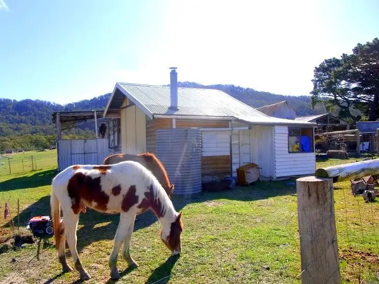 Fifth view of Homely rural property listing, 398 New Buildings Road, Wyndham NSW 2550