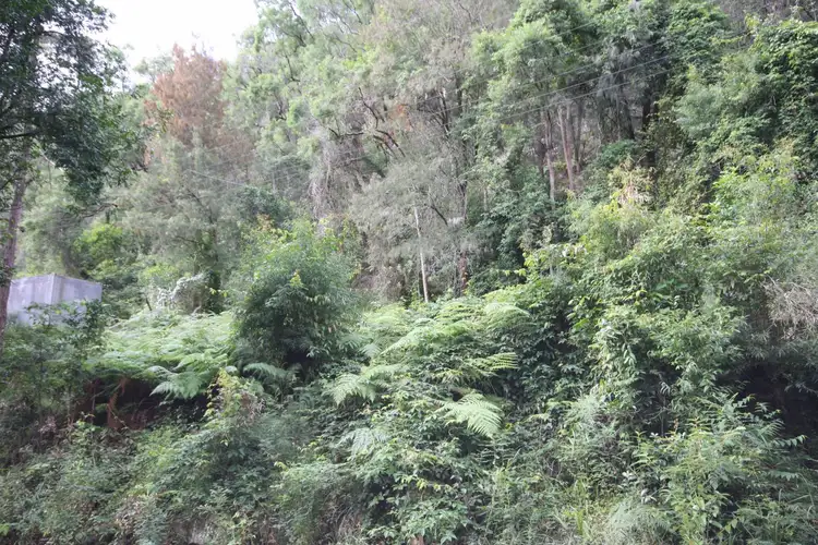 Fourth view of Homely land listing, 5594 Wisemans Ferry Road, Gunderman NSW 2775