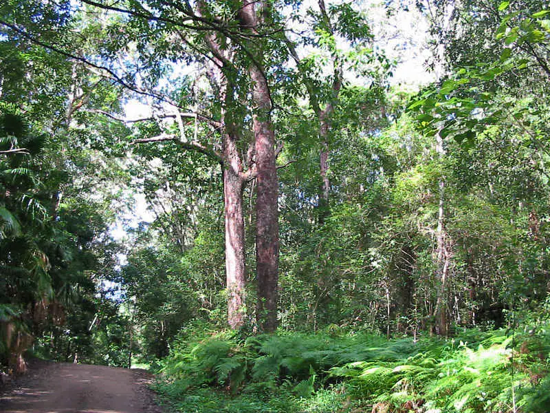 Main view of Homely land listing, Address available on request