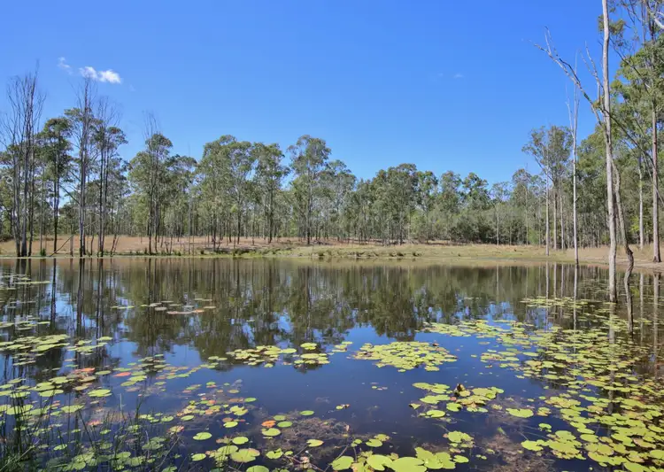 Sixth view of Homely rural property listing, 231 Thornside Road, Widgee QLD 4570