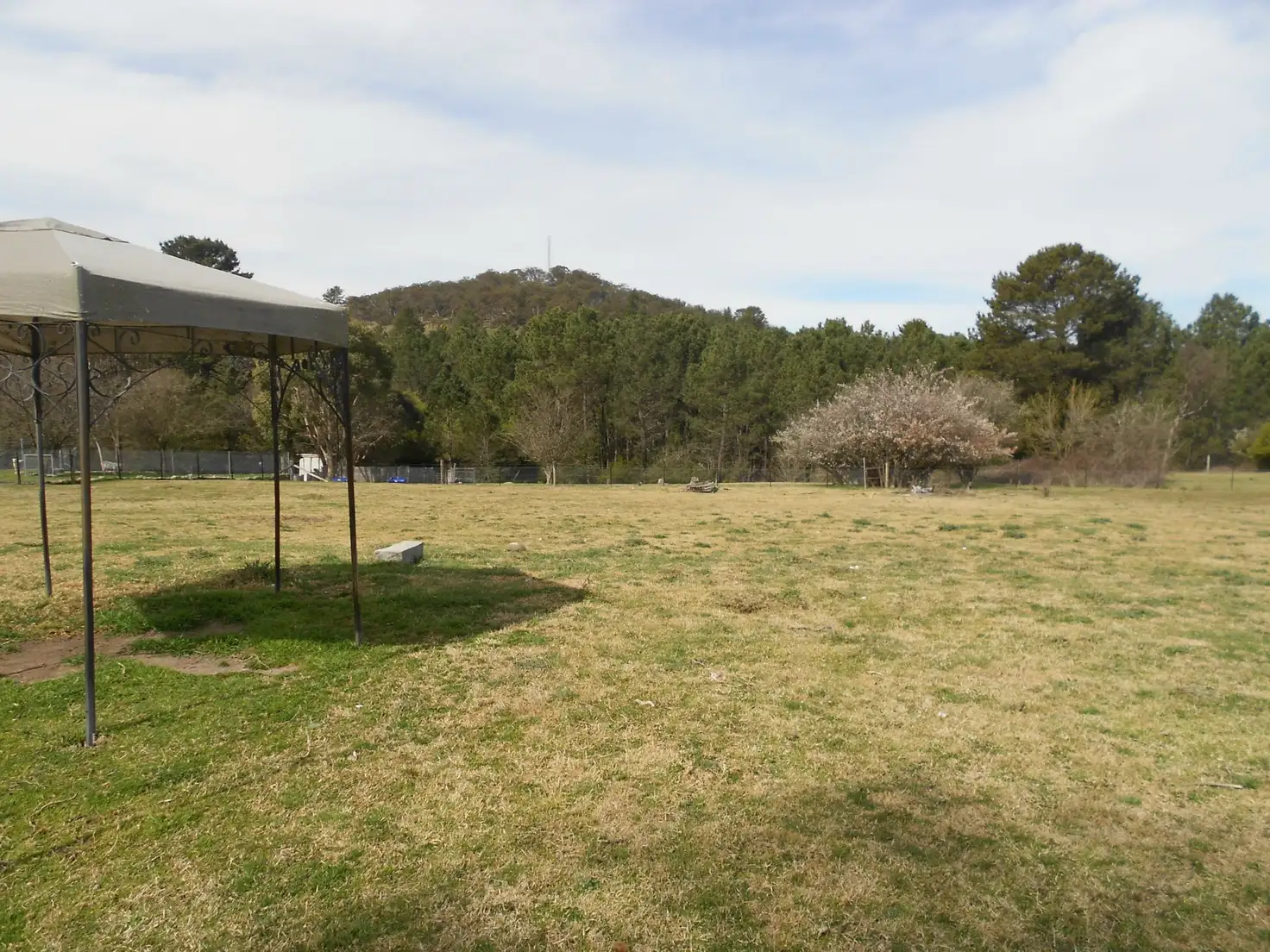 Main view of Homely land listing, 7 FAULKNER STREET, Uralla NSW 2358
