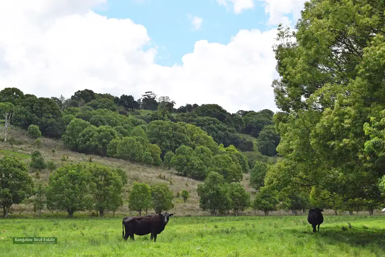 Third view of Homely land listing, 61 Virtue Road, Eltham NSW 2480