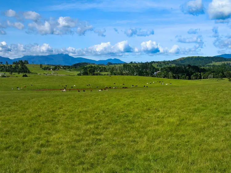 Seventh view of Homely land listing, 41 Jessica Road, Peeramon QLD 4885