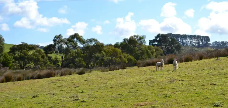 Sixth view of Homely rural property listing, Lot 13 Range Road, Willow Creek SA 5211