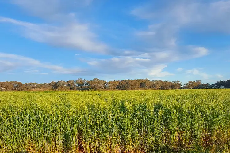 Fourth view of Homely rural property listing, 195 Jonel Park Road, Allora QLD 4362