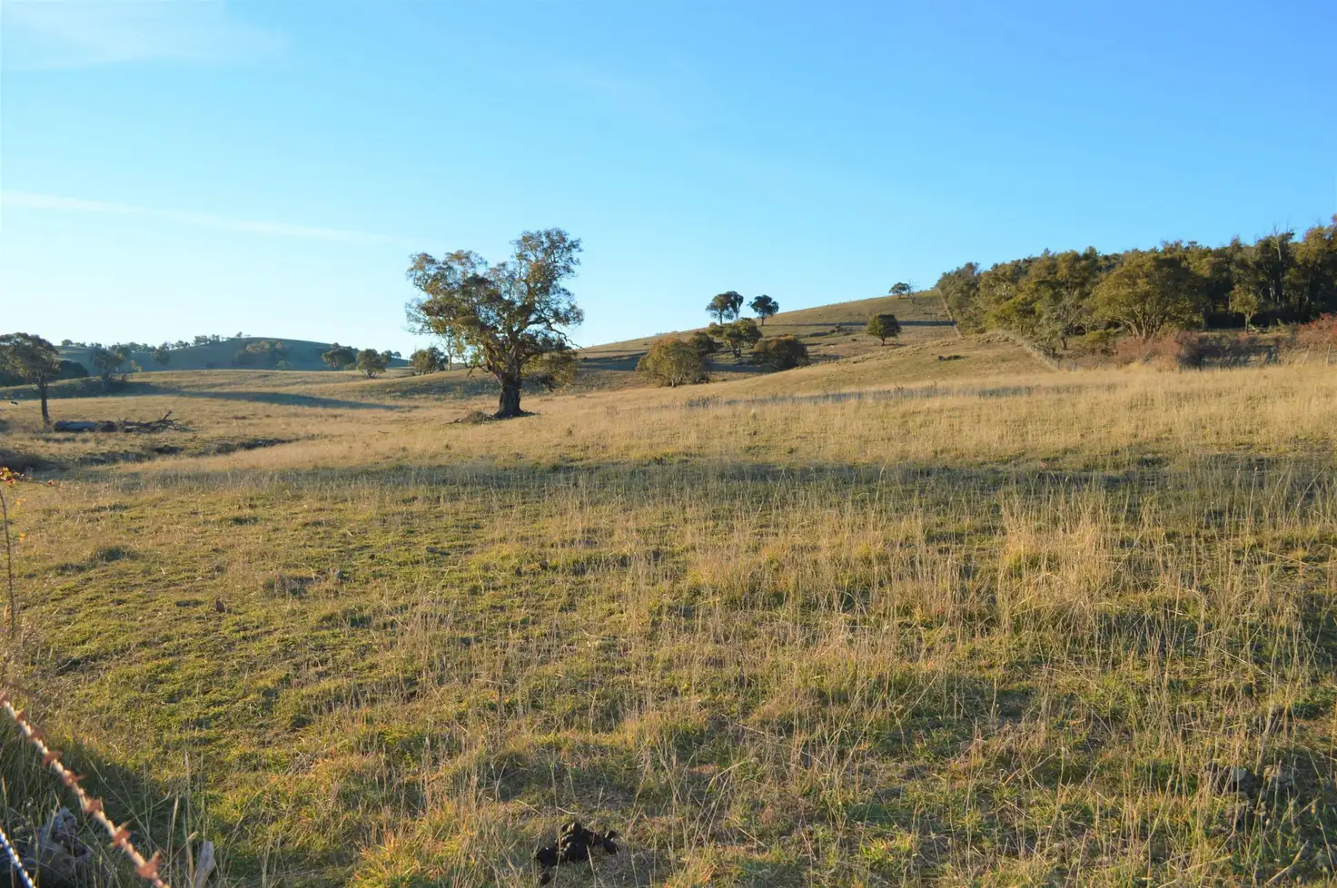 Main view of Homely land listing, 3282 Kosciuszko Road, Berridale NSW 2628