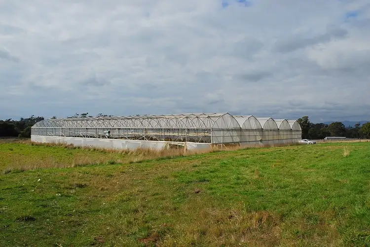 Main view of Homely rural property listing, 199 Bakers Lane, Northdown TAS 7307