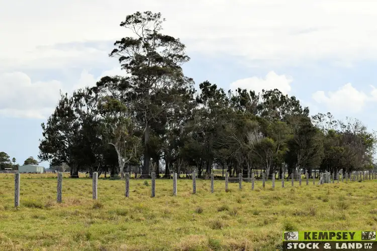 Third view of Homely rural property listing, 479 Plummers Lane, Rainbow Reach NSW 2440