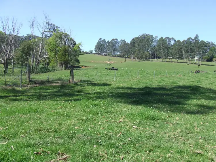 Sixth view of Homely rural property listing, Lot 220 Mardells Road, Bucca, Coffs Harbour NSW 2450