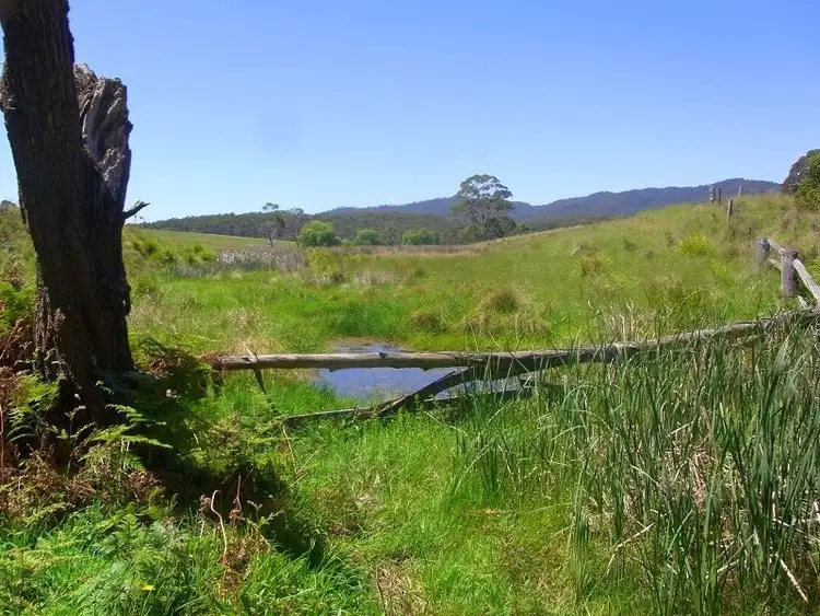 Seventh view of Homely rural property listing, 77 Umbach Road, Wyndham NSW 2550