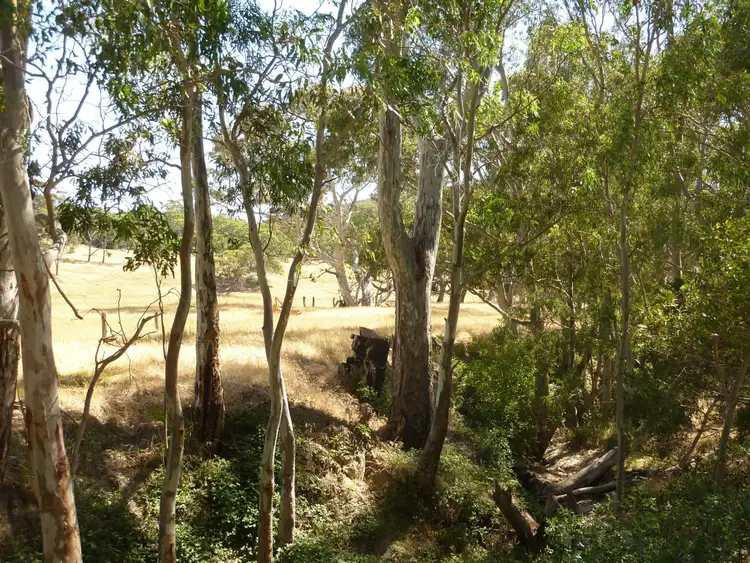 Sixth view of Homely rural property listing, 19 Mount Alma Road, Inman Valley SA 5211