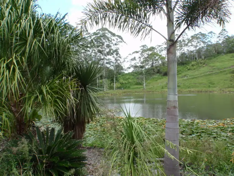 Main view of Homely rural property listing, 29 Ramberts Road, Eudlo QLD 4554