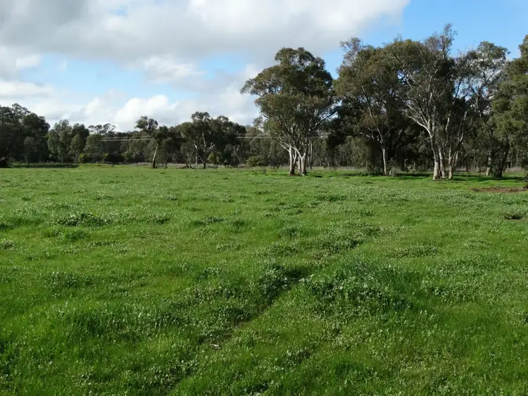 L134 Morgans Road, Walla Walla NSW 2659