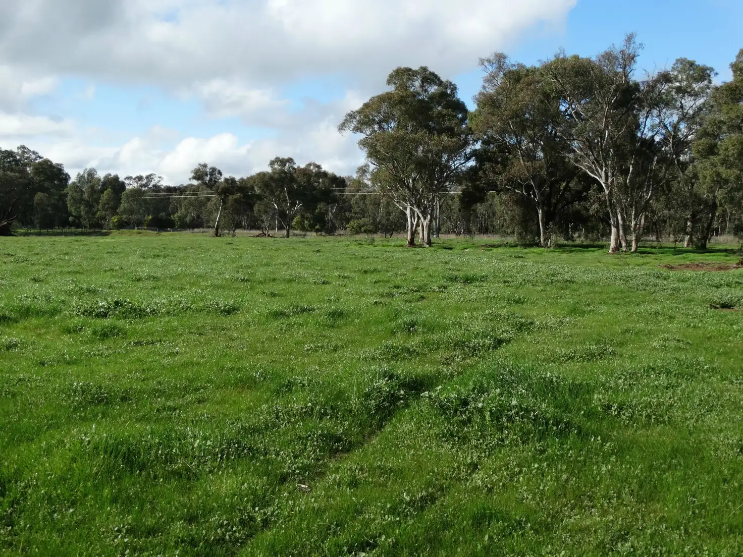 Main view of Homely rural property listing, L134 Morgans Road, Walla Walla NSW 2659