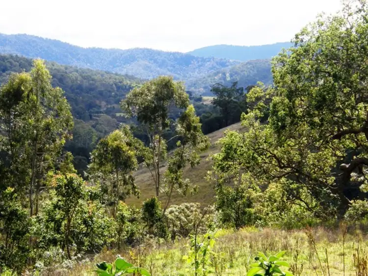 Fifth view of Homely rural property listing, 8 BRINDLE CREEK ROAD, Kyogle NSW 2474