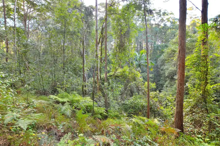 Sixth view of Homely land listing, 88 Rambert Road, Eudlo QLD 4554