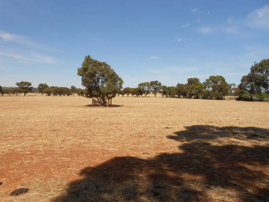 Main view of Homely land listing, L13 Kinnane Street, Jamestown SA 5491