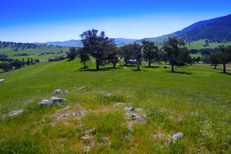 Third view of Homely rural property listing, 8029 Murray Valley Hwy, Bullioh VIC 3700
