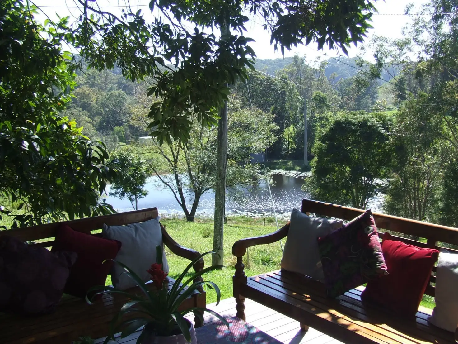 Main view of Homely rural property listing, 265 South Boambee Road, Boambee NSW 2450